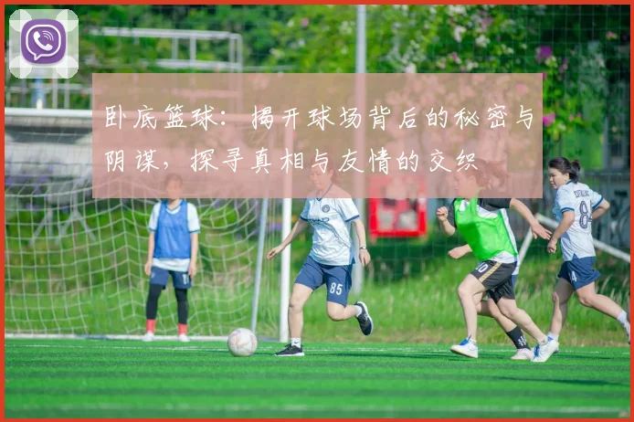 卧底篮球：揭开球场背后的秘密与阴谋，探寻真相与友情的交织