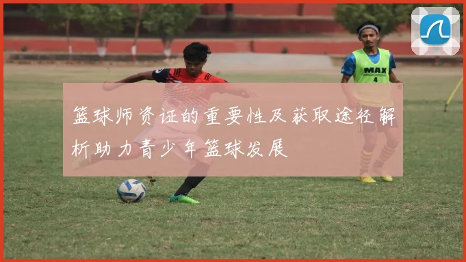 篮球师资证的重要性及获取途径解析助力青少年篮球发展
