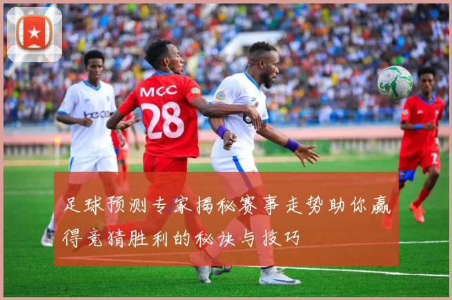 足球预测专家揭秘赛事走势助你赢得竞猜胜利的秘诀与技巧