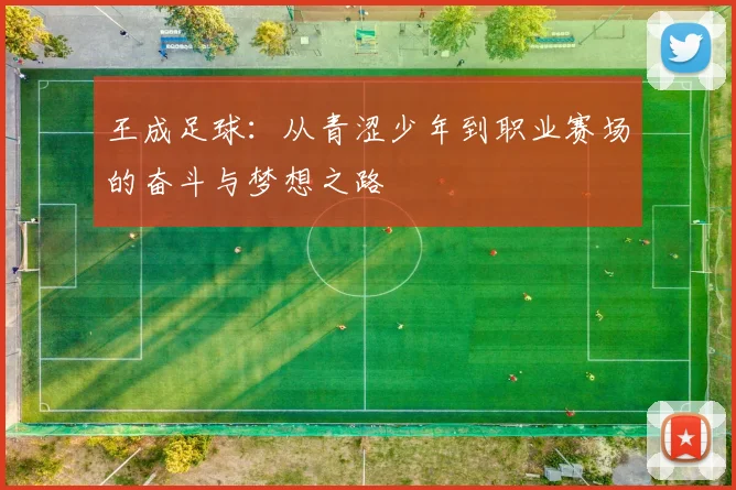 王成足球：从青涩少年到职业赛场的奋斗与梦想之路