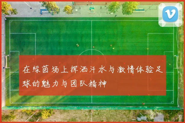 在绿茵场上挥洒汗水与激情体验足球的魅力与团队精神